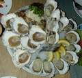 oysters